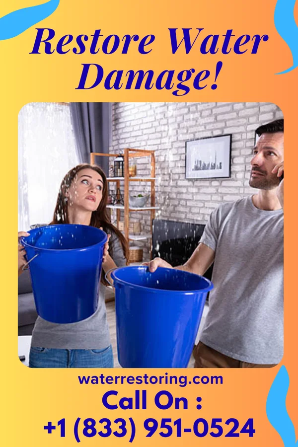 water restoration Universal Water Removal Professionals Bethel Manor