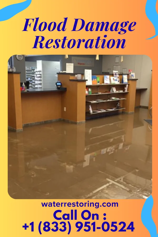 Flood Damage Restoration in Bethel Manor, VA