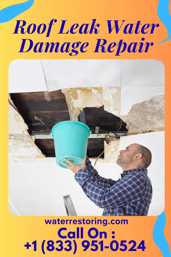 Roof Leak Water Damage Repair in Bethel Manor, VA