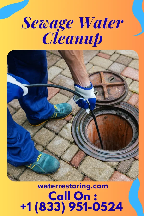Sewage Water Cleanup in Bethel Manor, VA