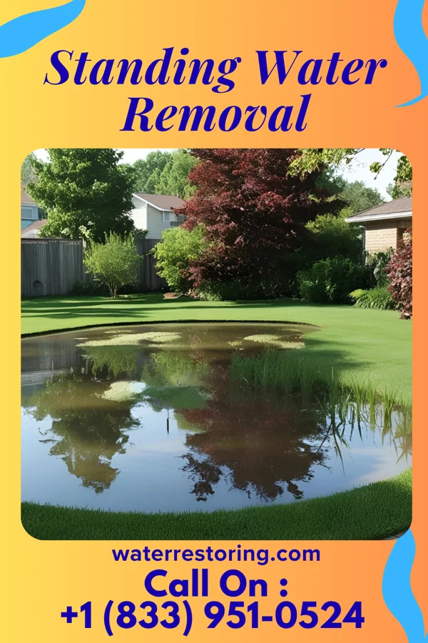 Standing Water Removal in Bethel Manor, VA